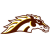 Western Michigan Broncos