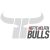 Kapfenberg Bulls