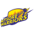 Mysuru Warriors
