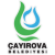 Cayirova Belediyesi