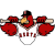 Herts Falcons