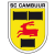 SC Cambuur Leeuwarden