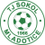 Sokol Mladotice